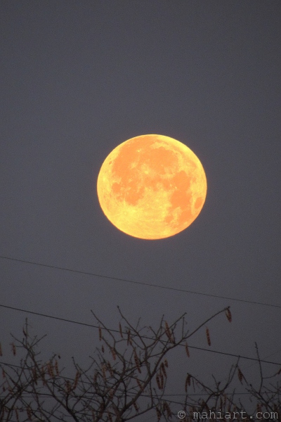 Blood moon, setting.