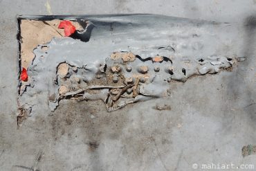 Red leaves in the sand.