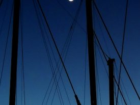 Moon through masts.