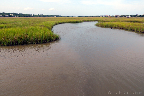 Wetlands.