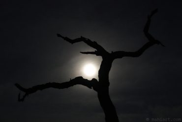 Silhouette.