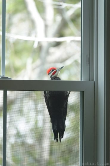 On the outside, looking in.