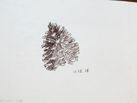 Today’s tiny sketch: pine cone.