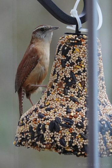 In the window.