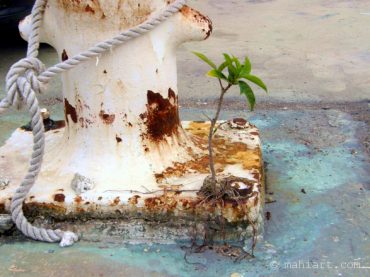 Tenacity remastered.